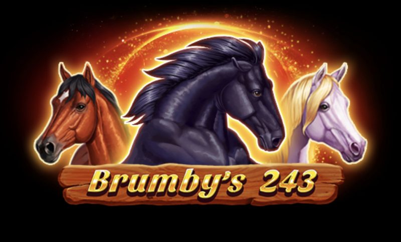 Brumby S 243 1