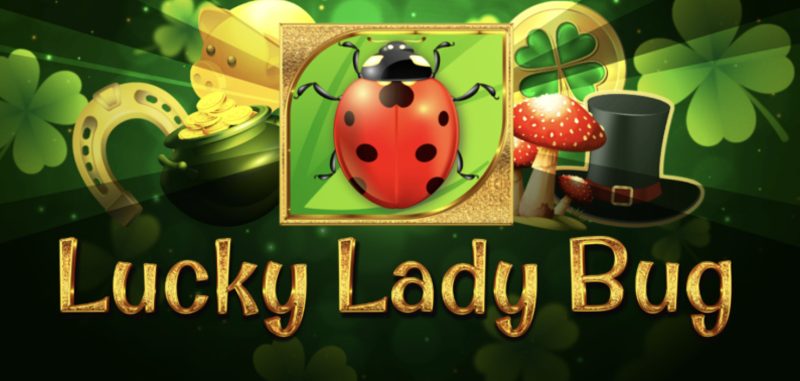 Lucky Lady Bug 1