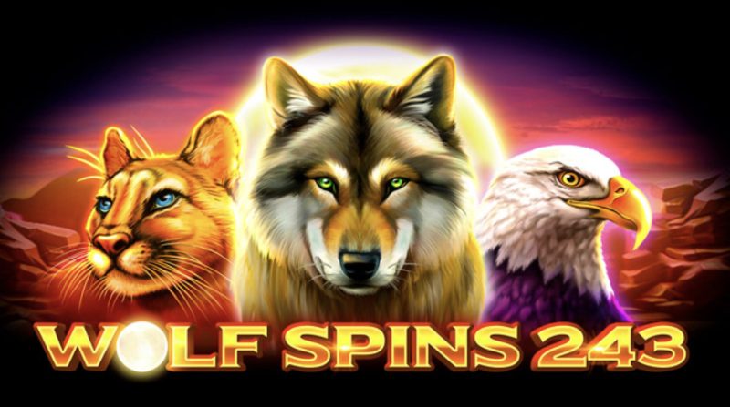 Wolf Spins 243 1